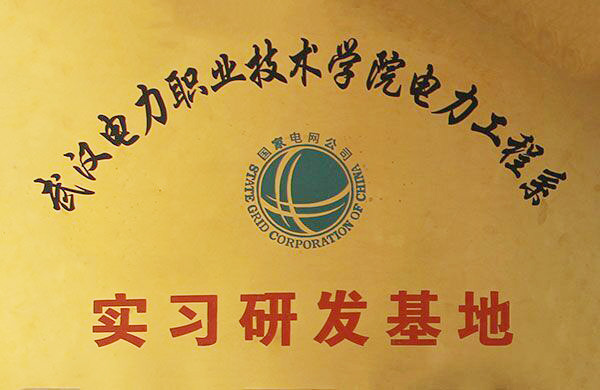 武漢電力職業(yè)技術學院電力工程系實習研發(fā)基地