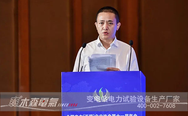 全國電力（工程）企業(yè)協(xié)會(huì)發(fā)言